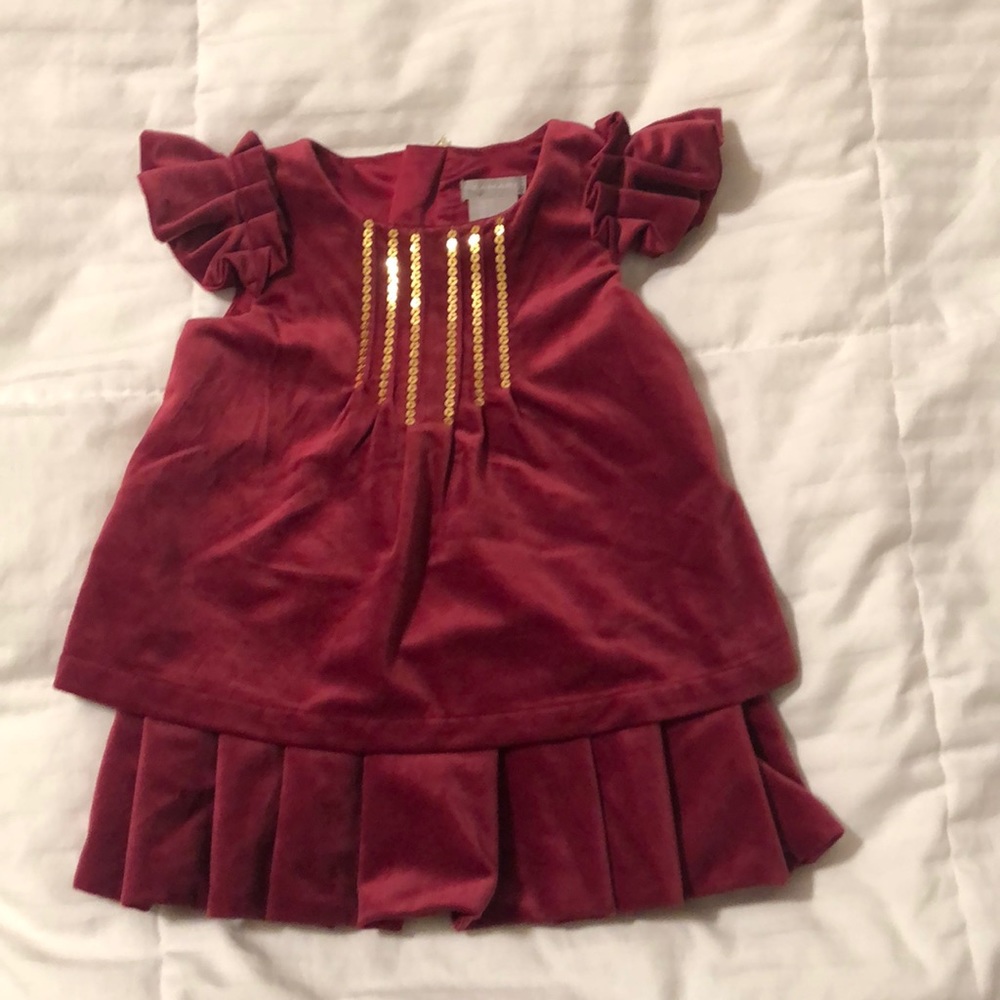 Beautiful Christmas/Thanksgiving Dress!  Velvety!
